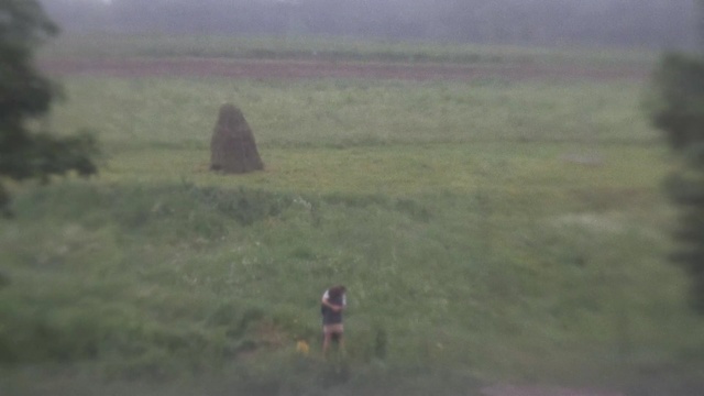 Video Reference: ecosystem, grassland, grass, steppe, ecoregion, savanna, plain, prairie, rural area, pasture