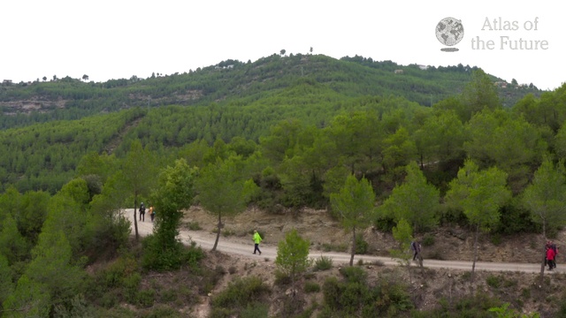 Video Reference: Vegetation, Hill station, Nature, Hill, Land lot, Highland, Nature reserve, Mountainous landforms, Natural landscape, Natural environment