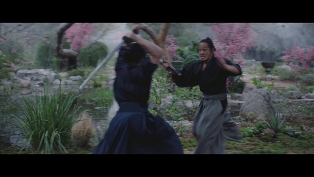 Video Reference: Organism, Photography, Fun, Tree, Adaptation, Plant, Screenshot