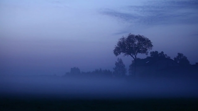 Video Reference: fog, mist, atmosphere, sky, tree, dawn, morning, calm, dusk, evening
