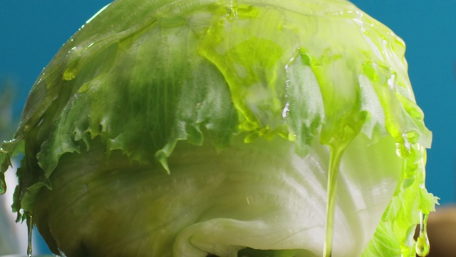 Video Reference: Iceburg lettuce, Leaf vegetable, Cabbage, Vegetable, Leaf, Food, wild cabbage, Plant, Lettuce, Produce