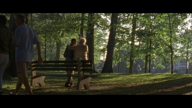 Video Reference: Woodland, Nature, Forest, Tree, Natural environment, Green, Sunlight, Light, Biome, Woody plant