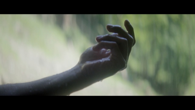 Video Reference: hand, arm, finger, mouth, sunlight, sky, girl, grass, foot, tree