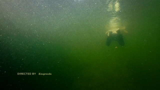 Video Reference: Green, Underwater, Organism, Marine biology