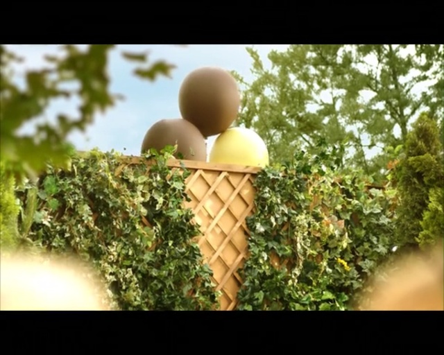 Video Reference: Plant, Sunlight, Tree, Food, Fruit