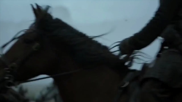 Video Reference: bridle, horse, horse tack, halter, black, rein, horse harness, horse like mammal, mane, mode of transport