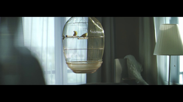 Video Reference: Light, Lighting, Interior design, Transparent material, Room, Still life photography, Photography, Textile, Glass, Window