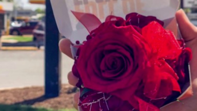 Video Reference: Flower, Rose, Bouquet, Garden roses, Floristry, Plant, Red, Flower Arranging, Petal, Cut flowers