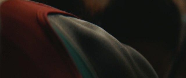Video Reference: Black, Blue, Green, Brown, Close-up, Macro photography, Light, Textile, Orange, Photography, Person, Indoor, Sitting, Man, Looking, Close, Shirt, Wearing, Dark, View, Red, White, Cat, Room, Abstract, Aquarium