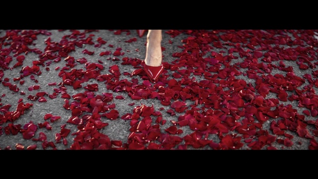 Video Reference: Red, Petal, Carmine, Textile, Plant, Flower