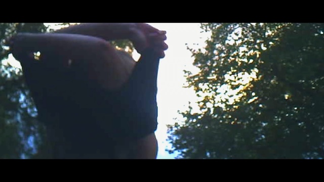 Video Reference: tree, photograph, nature, vertebrate, sky, water, woody plant, light, sunlight, snapshot