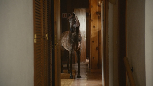 Video Reference: Room, Door, Wood, Art, Person