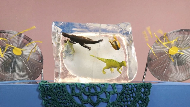 Video Reference: Fish, Butterflyfish