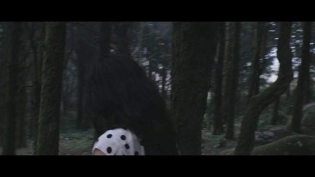 Video Reference: Nature, Photograph, Natural environment, Tree, Darkness, Forest, Woodland, Snapshot, Biome, Fiction