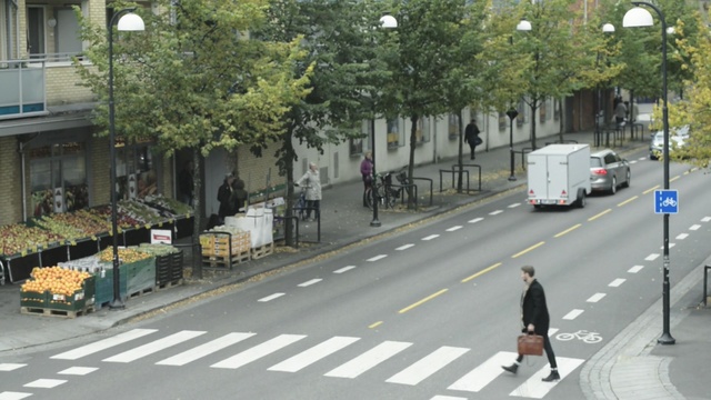 Video Reference: road, lane, neighbourhood, street, town, infrastructure, pedestrian, transport, residential area, tree