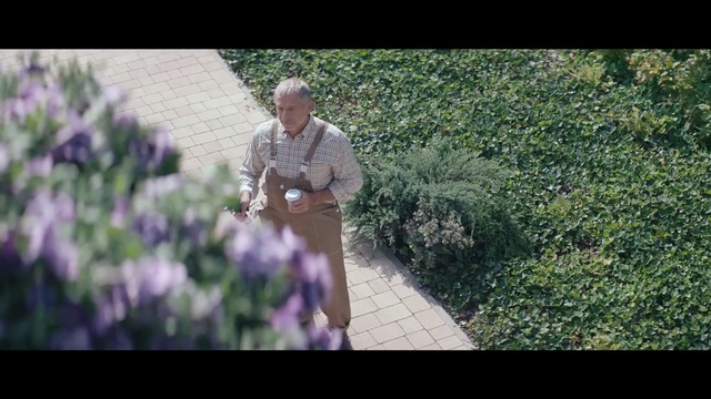 Video Reference: Garden, Flower, Shrub, Plant, Lavender, Botany, Grass, Spring, Landscaping, Screenshot