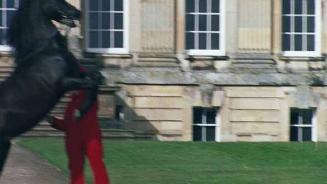 Video Reference: Lawn, Grass, Uniform, House, Fictional character