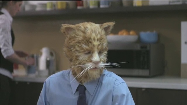 Video Reference: Cat, Whiskers, Small to medium-sized cats, Felidae, Ear, Organ, Snout, Carnivore, Eye, Tabby cat, Person
