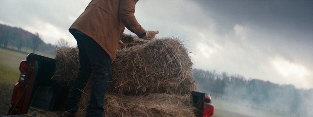 Video Reference: Hay, Straw, Plant, Grass, Tree, Agriculture