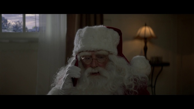 Video Reference: Facial hair, Beard, Moustache, Santa claus, Fictional character