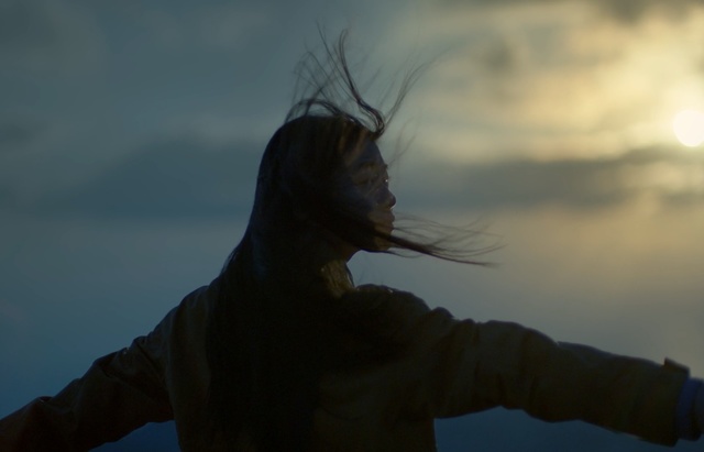 Video Reference: sky, cloud, atmosphere, meteorological phenomenon, darkness, tree, wind, sea, Person