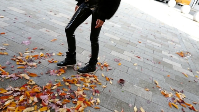Video Reference: shoe, sidewalk, asphalt, road surface, flooring, tree, autumn