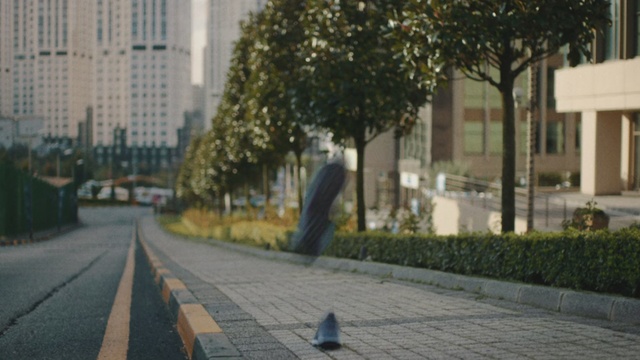 Video Reference: Urban area, Human settlement, Residential area, Lane, Town, Sidewalk, City, Neighbourhood, Morning, Tree