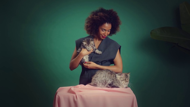 Video Reference: Hair, Skin, Green, Shoulder, Cat, Hairstyle, Sitting, Human, Felidae, Dress