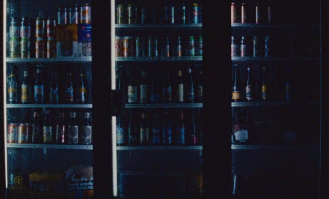 Video Reference: Bookcase, Shelf, Shelving, Library, Book, Furniture, Publication, Building, Darkness, Room, Sitting, Large, Standing, Refrigerator, Table, Man, Dog, Wooden, Woman, People, Holding, Wine, Red, Store, Food, Group, Bus, Street, City, Bottle, Kitchen, Parked, White, Text, Soft drink, Drink, Bar