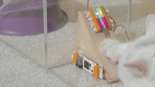 Video Reference: Flooring, Tile