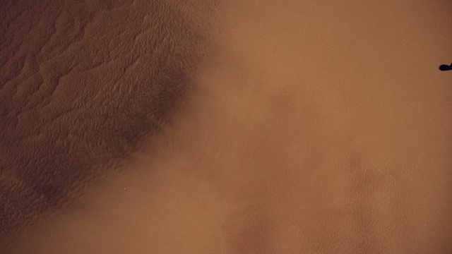 Video Reference: Brown, Skin, Atmospheric phenomenon, Sky, Atmosphere, Beige, Cat, Man, Yellow, White, Sitting, Dark, Riding, Black, Large, Standing, Holding, Room, Street, Fog, Tan