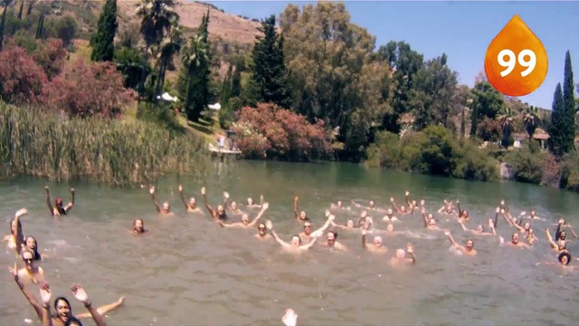 Video Reference: Water bird, Pond, Bird, River, Reservoir, Flamingo, Bank, Lake, Water resources, Water