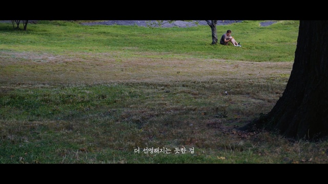 Video Reference: nature, green, grass, grassland, ecosystem, tree, pasture, plant, meadow, lawn