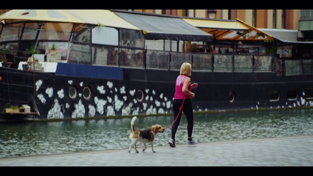 Video Reference: Dog, Canidae, Waterway, Companion dog, Dog walking, Sporting Group, Carnivore, Dog breed, Street dog, Leash