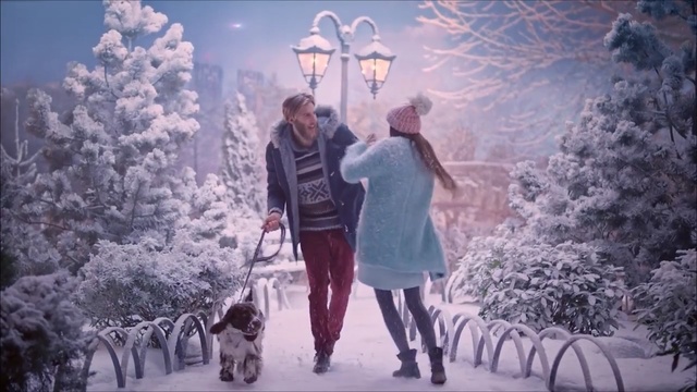 Video Reference: Winter, Frost, Freezing, Sky, Tree, Snow, Christmas eve, Winter storm, Fun, Blizzard, Person