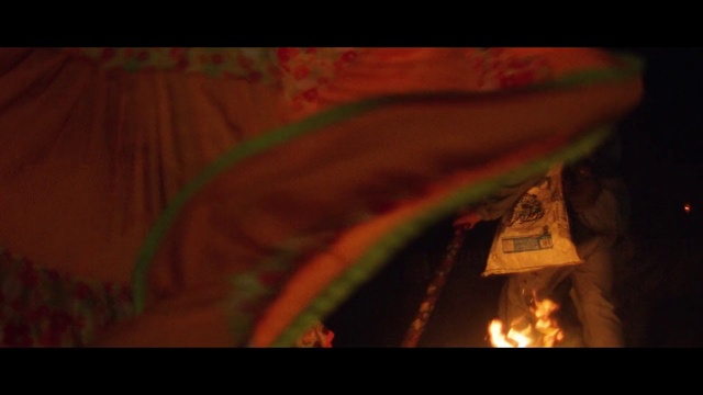 Video Reference: Green, Red, Light, Lighting, Leaf, Darkness, Art, Heat, Macro photography, Photography