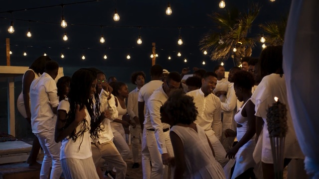 Video Reference: Event, Crowd, Ceremony, Fun, Night, Dress, Wedding, Wedding reception, Tradition, Person