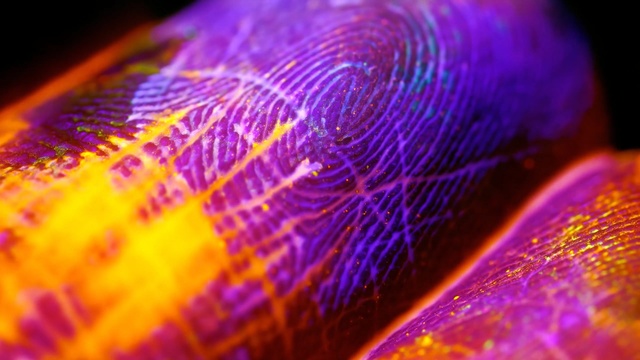 Video Reference: Purple, Blue, Light, Violet, Water, Colorfulness, Yellow, Pink, Lighting, Close-up