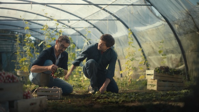 Video Reference: Greenhouse, Adaptation, Plant, Photography