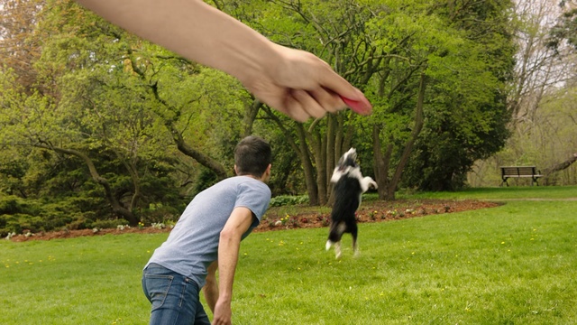 Video Reference: Grass, Disc dog, Lawn, Frisbee games, Recreation, Canidae, Flying disc, Outdoor, Person, Man, Park, Holding, Standing, Field, Green, Frisbee, Young, Woman, Boy, Throwing, Playing, Grassy, White, Flying, People, Sheep, Riding, Game, Catch, Air, Horse, Tree, Dog, Animal, Carnivore, Mammal, Lush