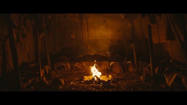 Video Reference: flame, fire, heat, light, darkness, campfire, screenshot, bonfire, night, computer wallpaper