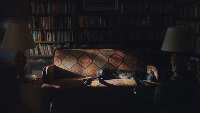 Video Reference: darkness, room, light, lighting, night, window, interior design, midnight, lighting accessory