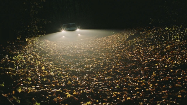 Video Reference: Sky, Night, Water, Light, Lighting, Atmospheric phenomenon, Atmosphere, Street light, Sunlight, Tree
