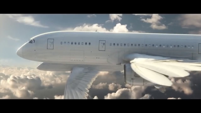 Video Reference: Air travel, Airline, Airplane, Airliner, Aviation, Aerospace engineering, Flap, Vehicle, Flight, Aircraft