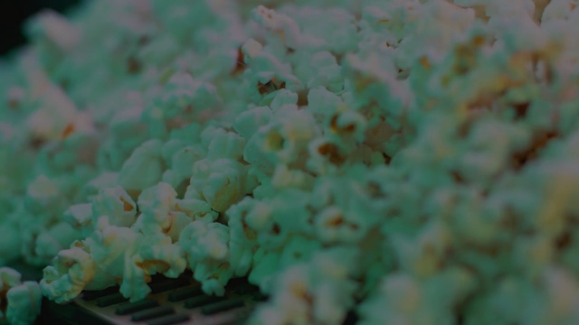 Video Reference: green, macro photography, organism, reef, coral, marine biology