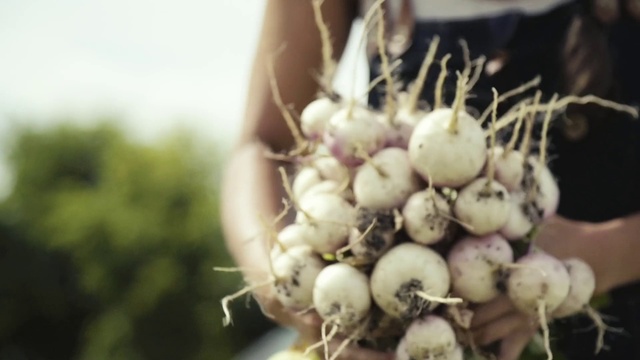 Video Reference: Food, Ingredient, Natural foods, Staple food, Root vegetable, Vegetable, Plant, Produce, Flowering plant, Terrestrial plant