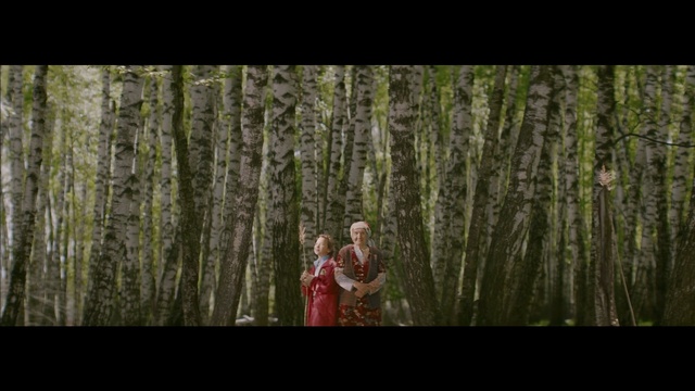 Video Reference: tree, woodland, nature, forest, ecosystem, photograph, green, woody plant, wilderness, flora