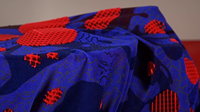 Video Reference: blue, red, cobalt blue, electric blue, textile, outerwear, material, pattern, magenta, Person