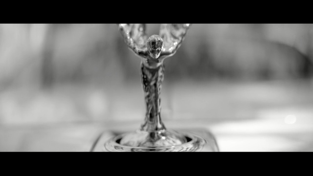 Video Reference: water, black and white, monochrome photography, stemware, champagne stemware, wine glass, drop, glass, still life photography, photography