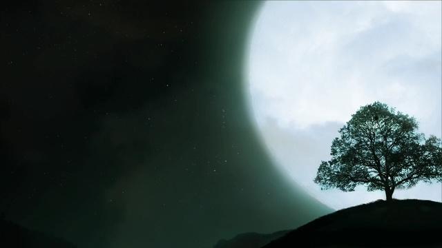 Video Reference: nature, atmosphere, sky, aurora, tree, landscape, astronomical object, computer wallpaper, darkness